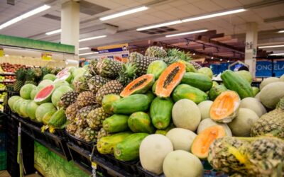 Panamá exportará 39.000 libras de papaya nacional a Florida