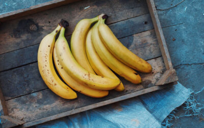 Panamá prevé aumentar 7% sus exportaciones de banano al cierre del 2021