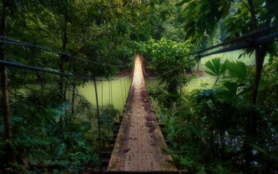 Costa Rica: Empresarios de Turismo hacen llamado a revisar proyecto para mejorar accesibilidad a parques nacionales