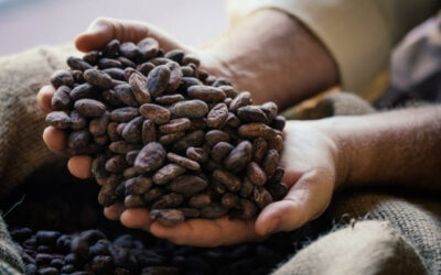 Islas Baleares ayudan a mejorar la producción y el comercio de cacao en Nicaragua