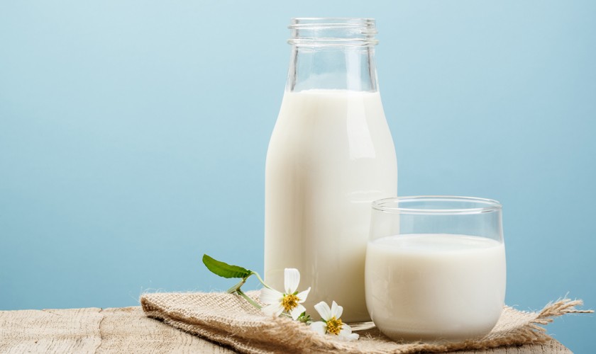 FECAICA se manifiesta ante propuesta que promueve limitar la importación de Lácteos a El Salvador