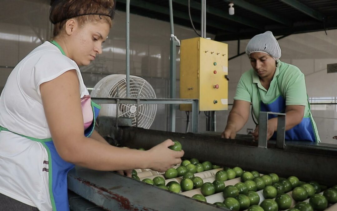 Sistema agroalimentario regional impulsaría el comercio y reduciría vulnerabilidades rurales en Centroamérica