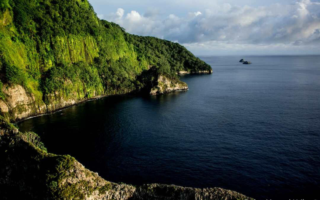 Costa Rica amplía de un 2,7 % a un 30 % las áreas marinas de protección