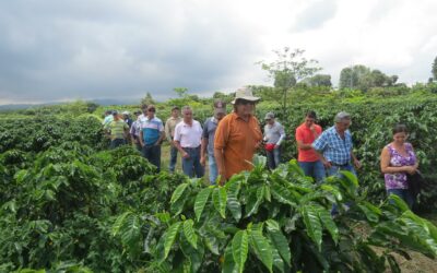 Costa Rica: Donación de US$935.000 apoyará a los agricultores a ser resilientes y sostenibles