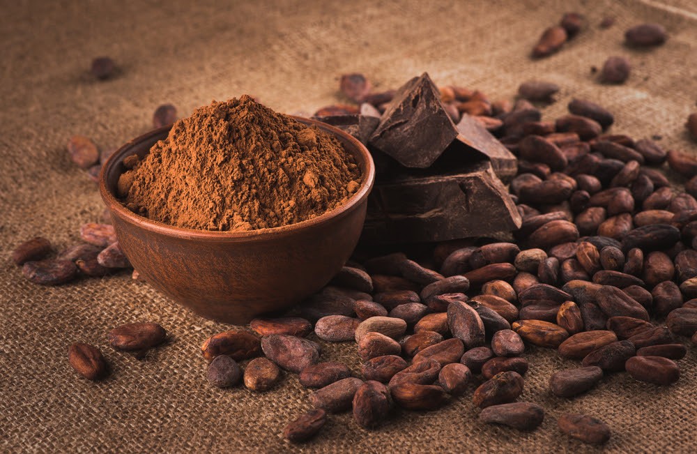 Costa Rica: Productores de cacao se encaminan hacia la producción orgánica