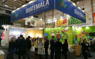 Sector industrial de Guatemala busca reactivarse con congreso virtual