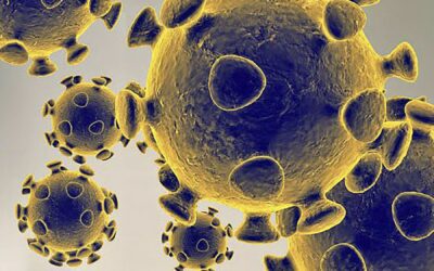 Expansión global del coronavirus multiplica suspensión de clases, deportes y espectáculos