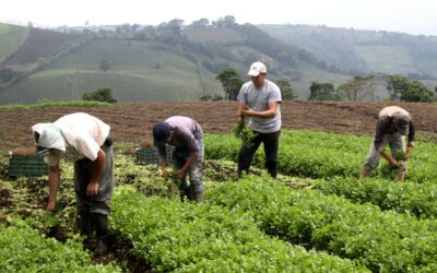 El Corredor Seco de Centroamérica, donde millones de personas están al borde del hambre y la pobreza