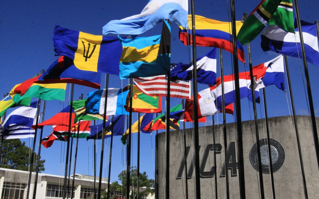 IICA fortalecerá el apoyo financiero a Centroamérica para el control del gusano barrenador