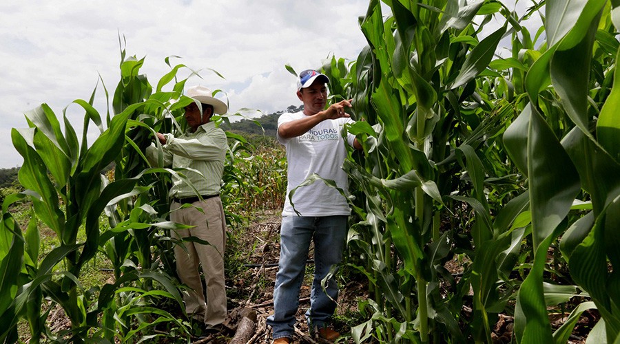 Honduras: Gobierno invertirá crédito de US$55 millones del BM para fortalecer sector agroalimentario y agroindustrial
