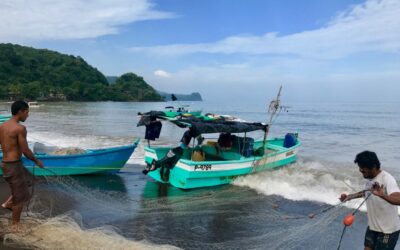 Costa Rica: Pescadores artesanales y ayudantes recibirán subsidio por veda durante 3 meses