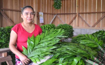 Guatemala: Zona de Adyacencia Guatemala-Belice agregarán valor a productos agrícolas y se incorporarán a la cadena de exportación