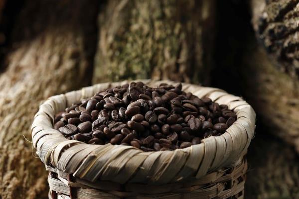 IICA y la UE buscan mitigar efectos de COVID-19 en sector café centroamericano