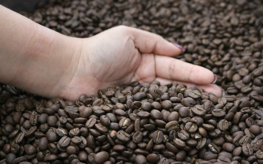 Pandemia hace crecer demanda de café tostado guatemalteco a mercados internacionales