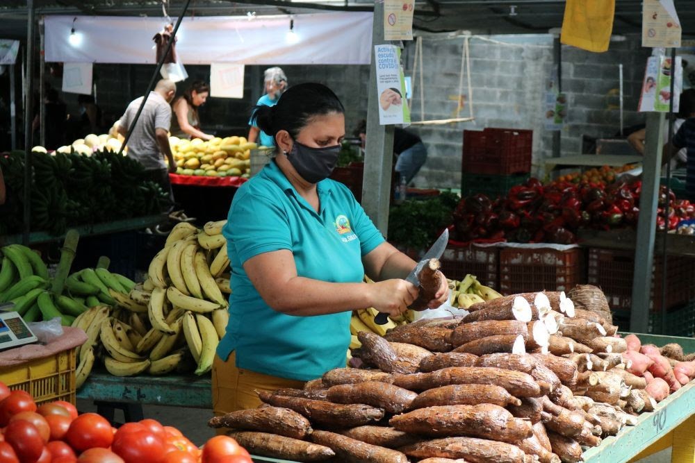 Promueven la comercialización y digitalización del comercio agrícola en Costa Rica