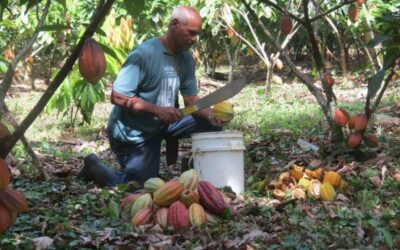 Costa Rica: Sector agro anuncia 13 proyectos para activar producción y generar empleos en el Caribe