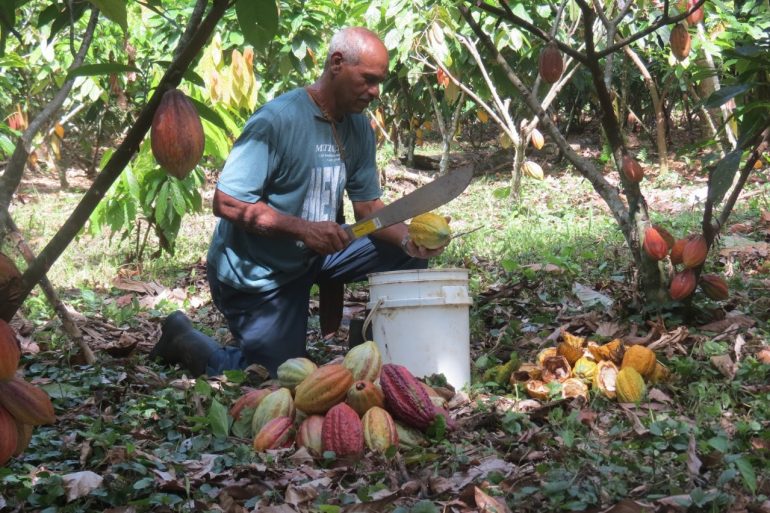 Costa Rica: Sector agro anuncia 13 proyectos para activar producción y generar empleos en el Caribe