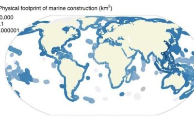 Construcciones humanas han modificado 30.000 kilómetros cuadrados de océanos