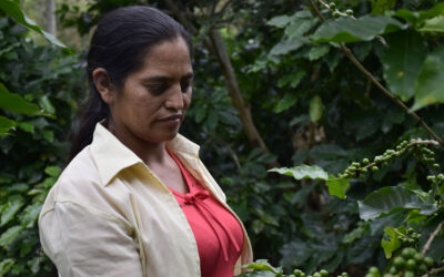 IICA y la Unión Europea impulsan la participación femenina en la caficultura de Honduras