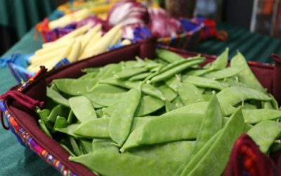 Guatemala: Altas tarifas en navieras castigan a pequeños productores de arvejas y vegetales de exportación