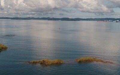 Canal de Panamá abre una millonaria licitación para un sistema de gestión del agua