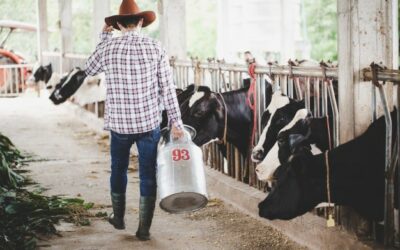 Radiografía del comercio lácteo en Centroamérica señala retos para aumentar exportaciones más allá de la región