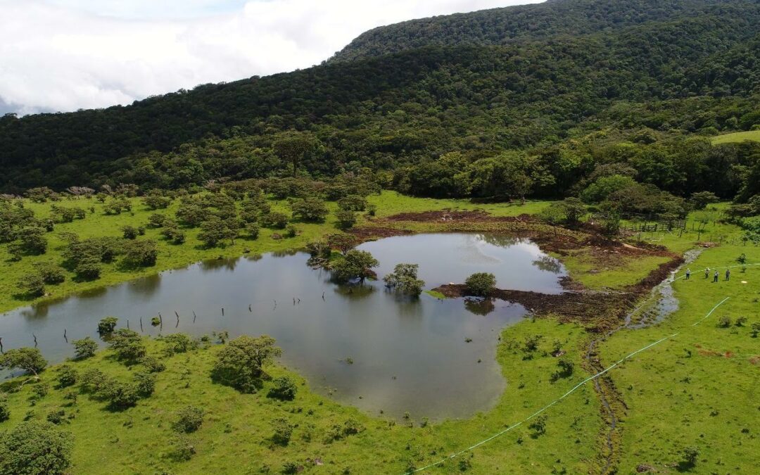 Estrategia ESCALL busca impulsar sistemas de siembra y cosecha de agua de lluvia en Costa Rica