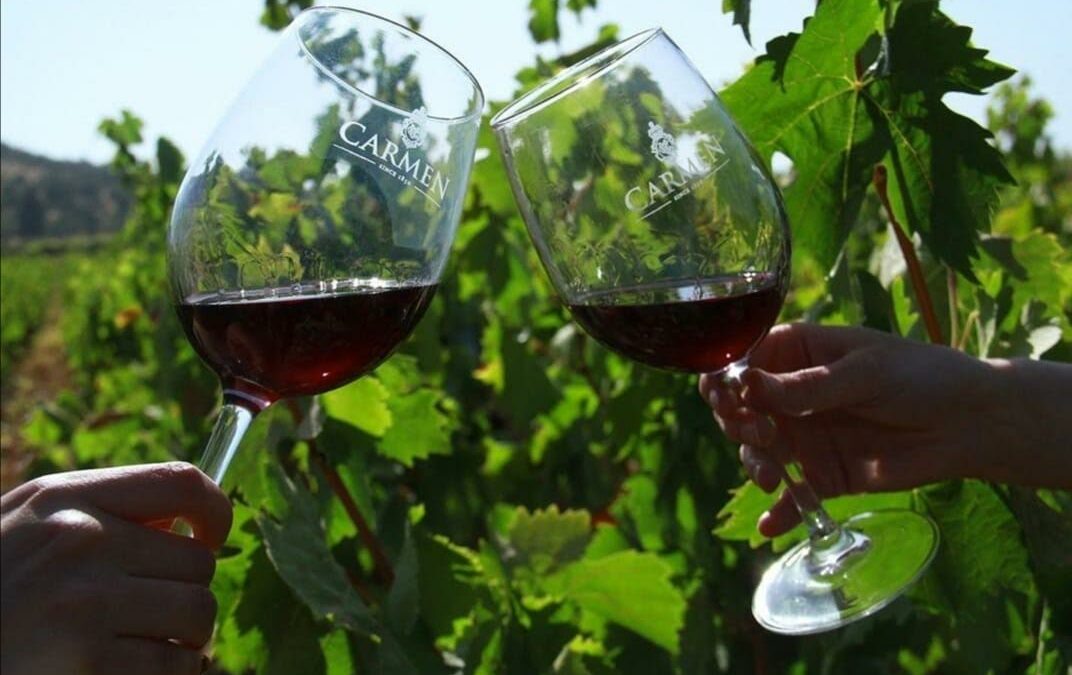 Exportaciones mundiales de vino alcanzan un nivel récord en 2021 al subir un 15,5 %