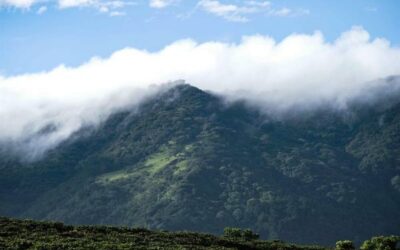 Lanzan iniciativa ambiental de Costa Rica con el apoyo de más de 50 países