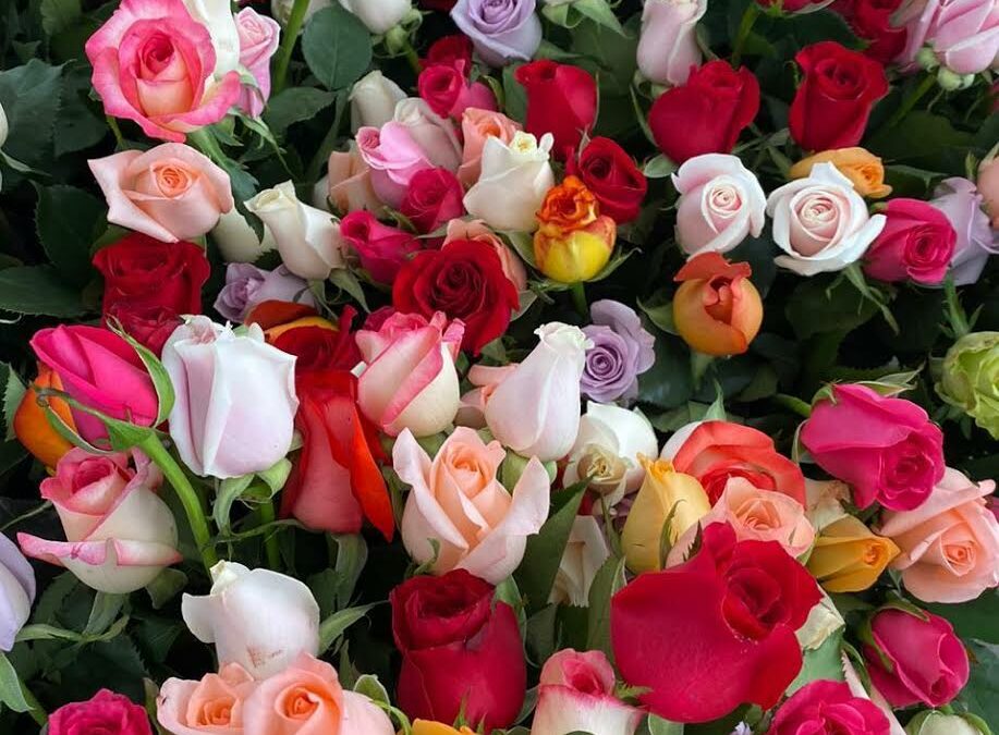 Guatemala: Sector de flores y ornamentales floreció y creció 3% en sus exportaciones 2020