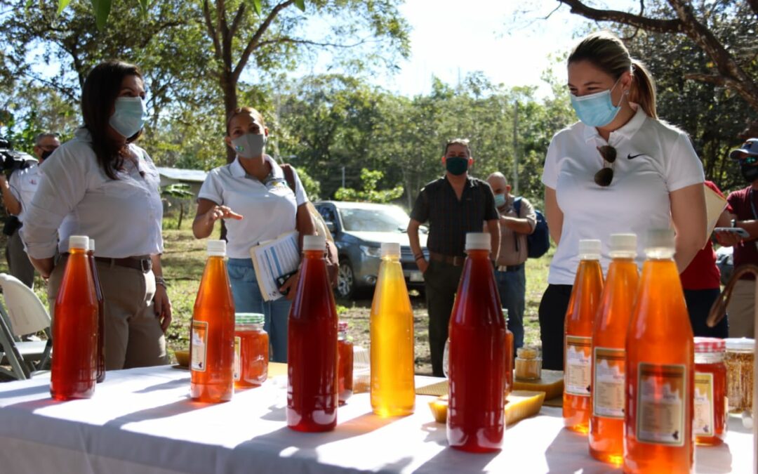Costa Rica: Construirán mercado artesanal y planta procesadora de miel en Liberia