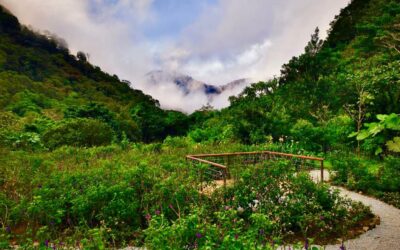 Hotel costarricense implementa tres grandes iniciativas ambientales que contribuyen a la preservación del bosque nuboso