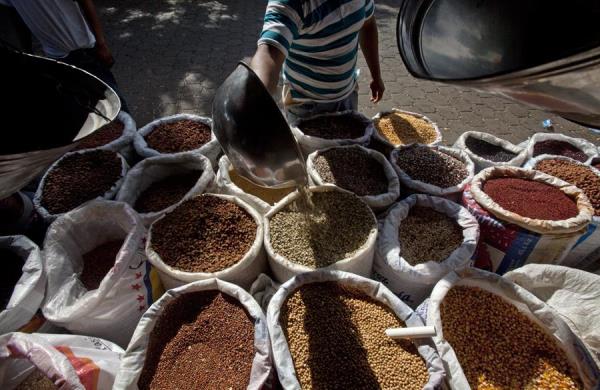 Holanda destaca el aumento de la producción de café y cacao en Nicaragua
