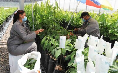 Argentina refuerza cooperación agroalimentaria con Centroamérica