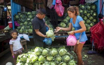 Banco Central: Nicaragua se ha recuperado por las exportaciones y las remesas
