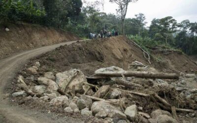 Zona cafetera renace en Nicaragua tras ser arrasada por los huracanes