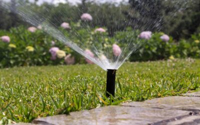 Ciudad Cayalá desarrolla importante aporte ambiental a través del tratamiento de aguas residuales