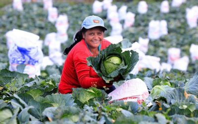 Honduras es referente regional en fortalecimiento del agro