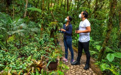 Guatemala busca destacar el potencial del segmento turístico de aviturismo y naturaleza