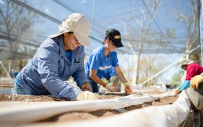 Costa Rica: Huerta genera empleo y empodera a mujeres guanacastecas