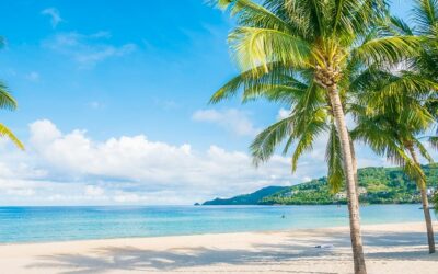 Costa Rica: Playa Piuta en Limón se convierte en la tercera playa accesible del Caribe