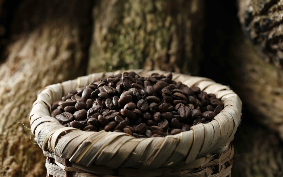 Exportaciones de café hondureño bajan 38 % en tres meses de cosecha 2022-2023