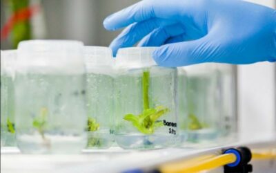 Costa Rica promociona al sector de biotecnología en feria Bio Digital 2021