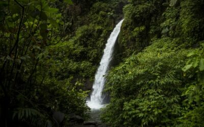Costa Rica: Río Cuarto lanza su marca Cantón para promocionarse como destino turístico del país
