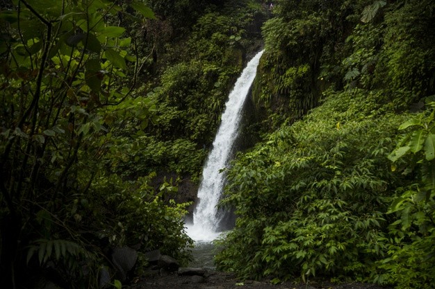 Costa Rica: Río Cuarto lanza su marca Cantón para promocionarse como destino turístico del país