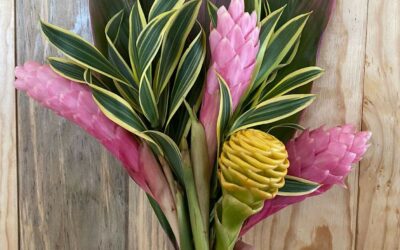 Sector de flores y follajes de Costa Rica muestra su variedad y belleza en talleres de diseño floral