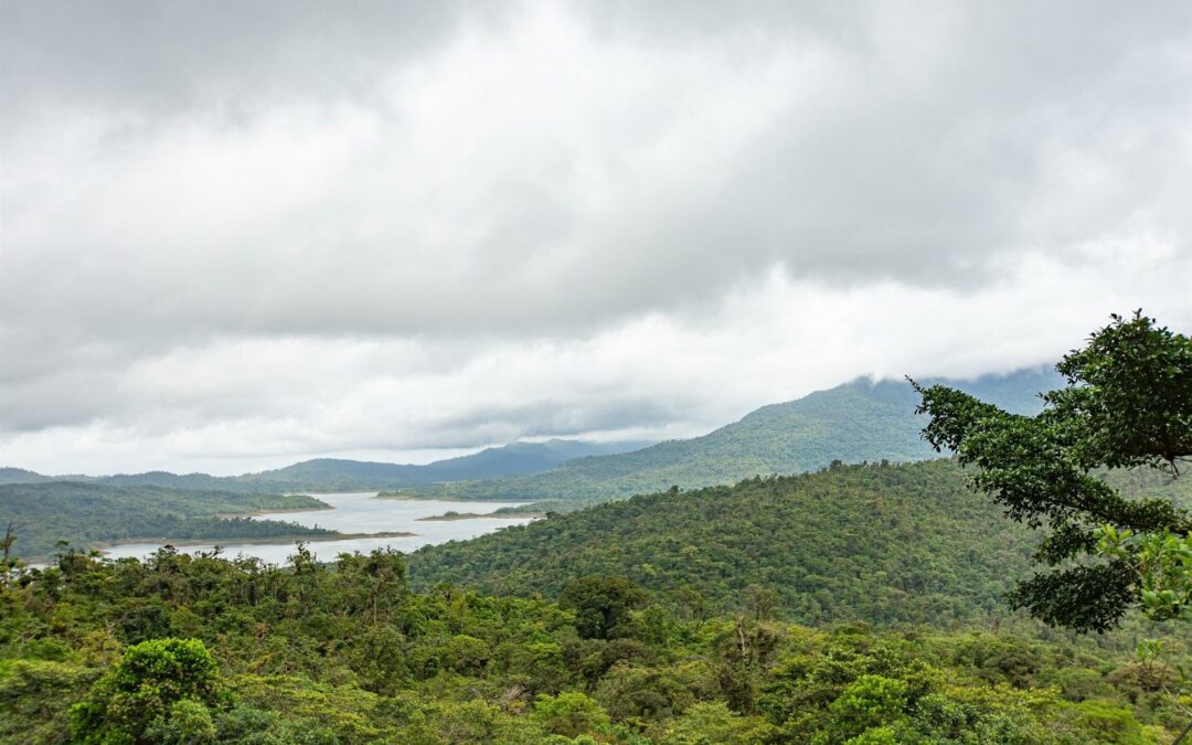Con creación de nuevo bosque, Francia y Costa Rica celebran amistad basada en desarrollo sostenible