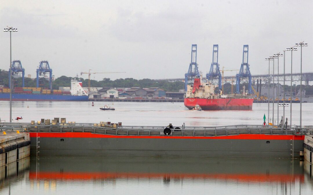 Canal de Panamá delimita tráfico y velocidad de buques para cuidar ballenas