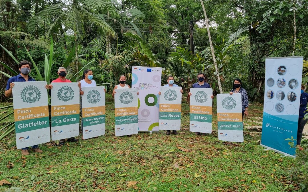 Costa Rica certifica productores de fibra de abacá por aplicar modelos de producción sostenible en el país