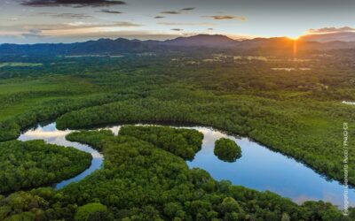 Notable reconocimiento internacional a Costa Rica por su compromiso con la protección ambiental